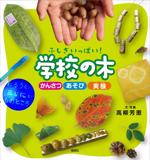 ふしぎいっぱい！ 学校の木