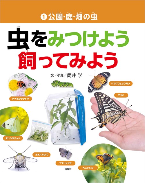 公園・庭・畑の虫