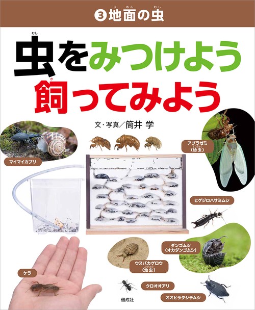 地面の虫