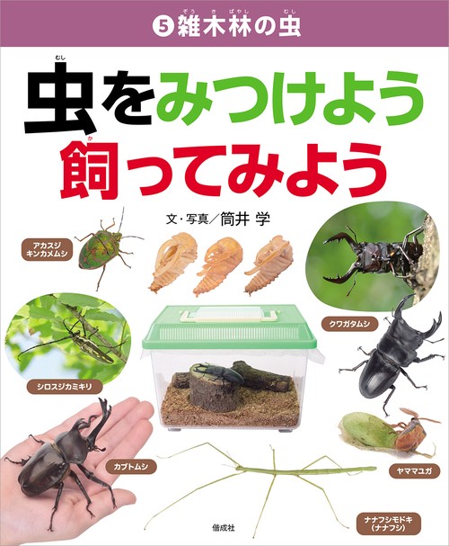 雑木林の虫