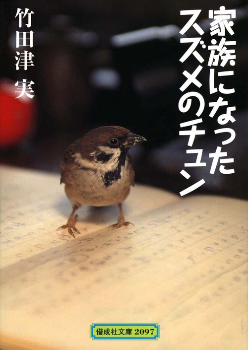 家族になったスズメのチュン