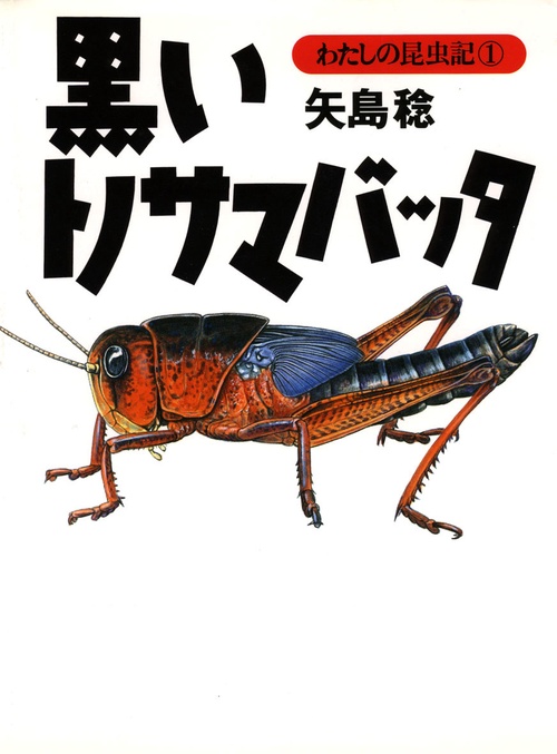 わたしの昆虫記 1