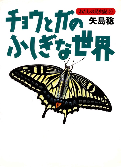 わたしの昆虫記 3