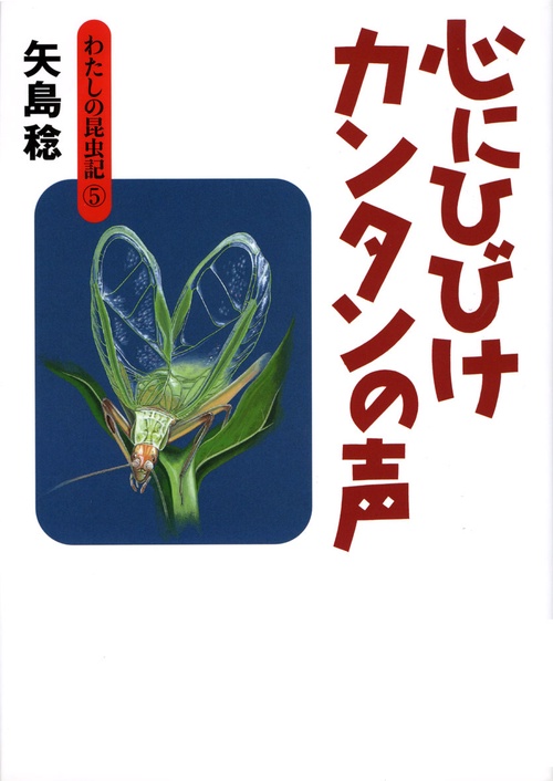 わたしの昆虫記 5
