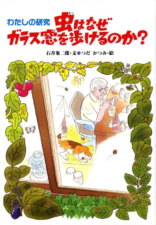 わたしの研究・虫はなぜガラス窓をあるけるのか