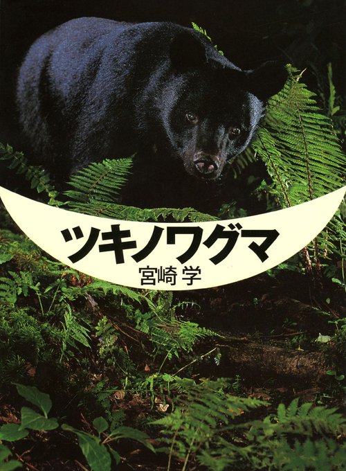 ツキノワグマ