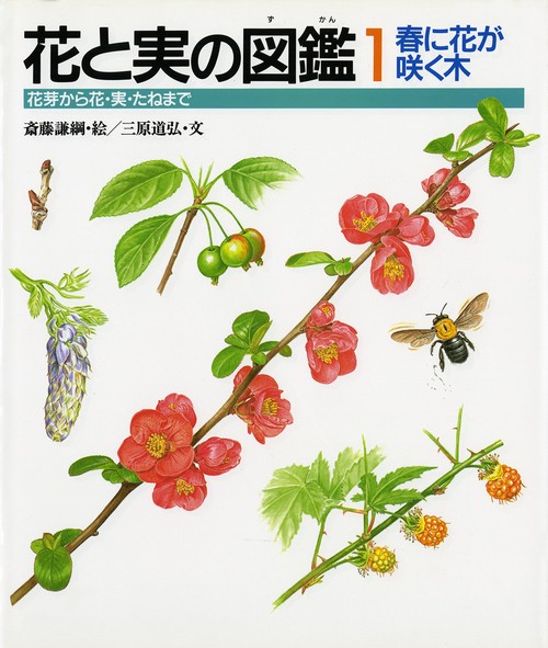 花と実の図鑑 1