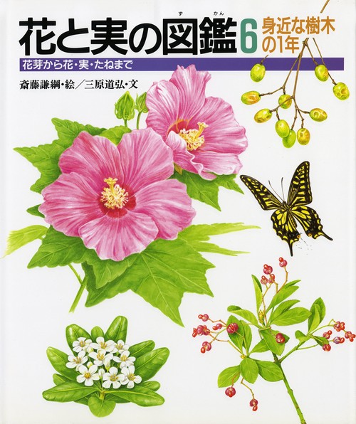 花と実の図鑑 6