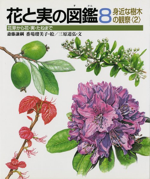 花と実の図鑑 8