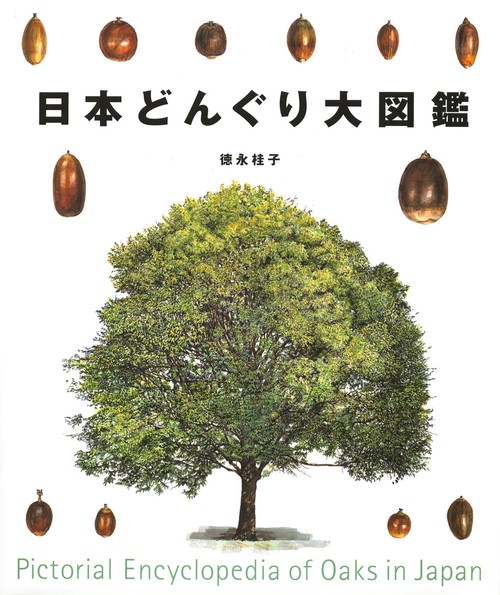 日本どんぐり大図鑑