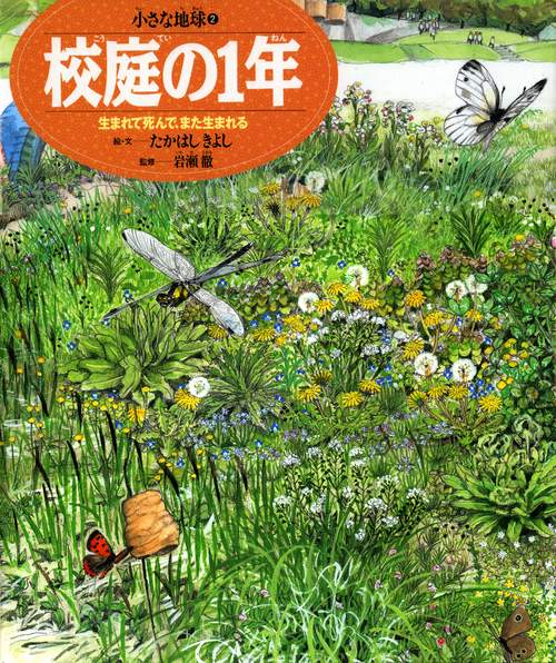 校庭の1年