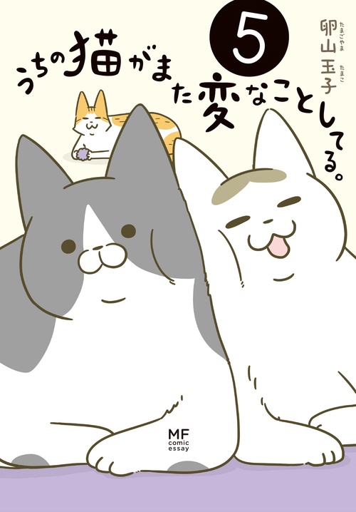 うちの猫がまた変なことしてる。５