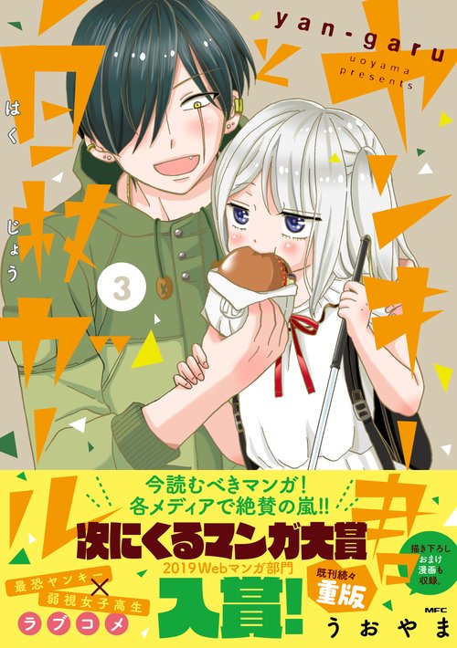 ヤンキー君と白杖ガール　3