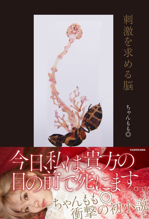 刺激を求める脳