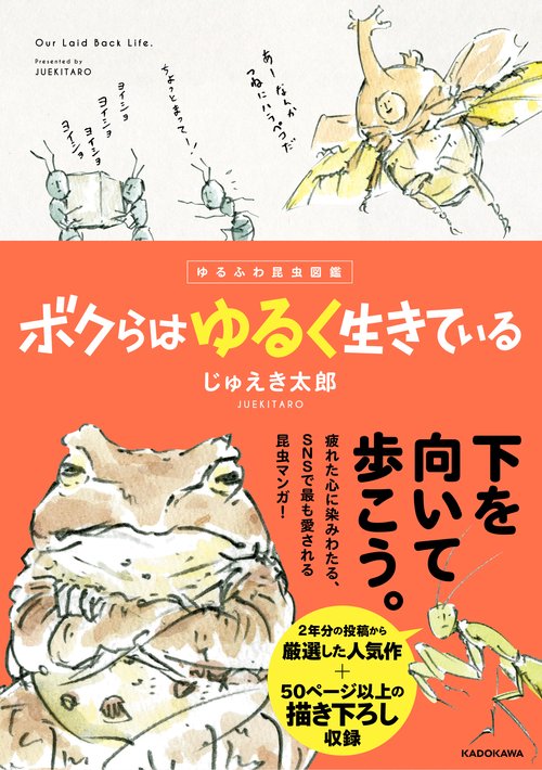 ゆるふわ昆虫図鑑　ボクらはゆるく生きている