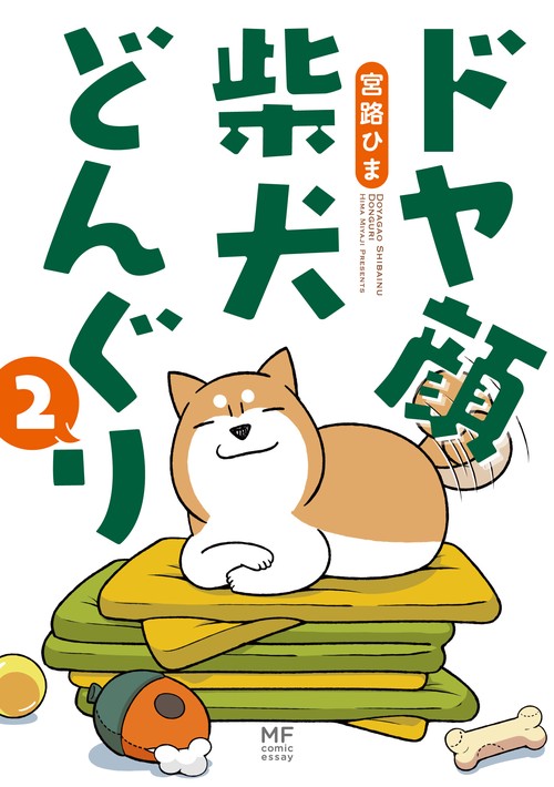 ドヤ顔柴犬どんぐり 2