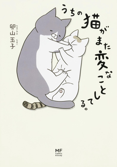 うちの猫がまた変なことしてる。