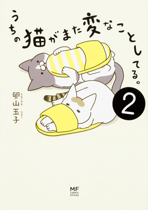 うちの猫がまた変なことしてる。２