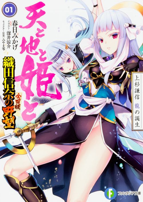 天と地と姫と 1
