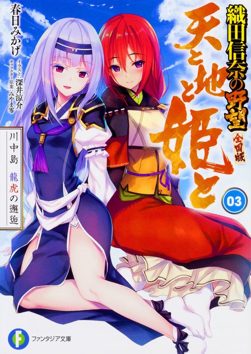天と地と姫と 3