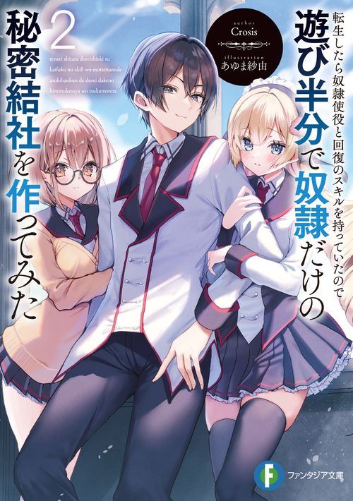 転生したら奴隷使役と回復のスキルを持っていたので遊び半分で奴隷だけの秘密結社を作ってみた２