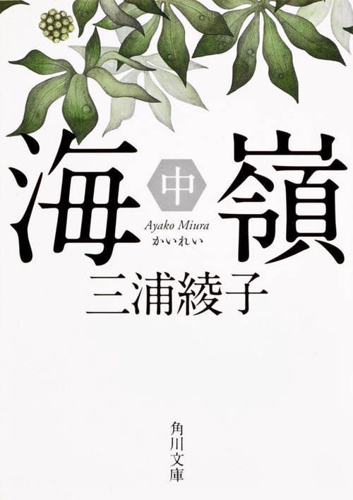 海嶺（中）
