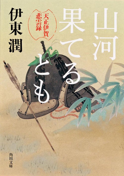 山河果てるとも  天正伊賀悲雲録