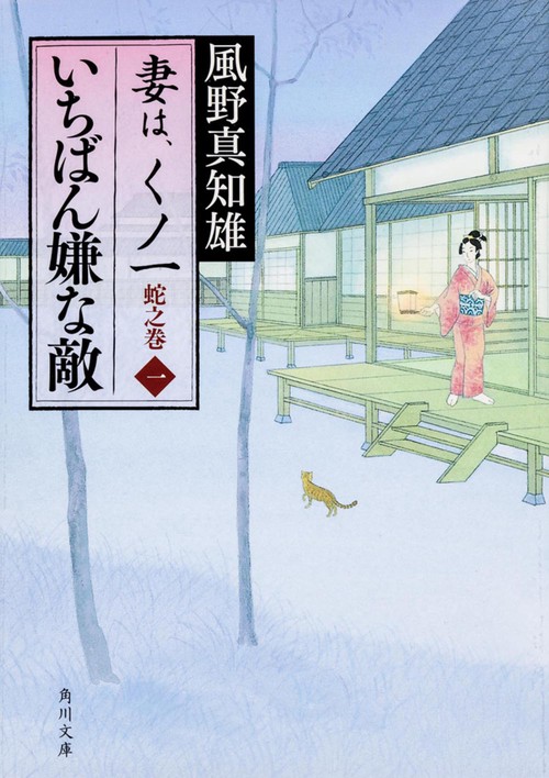 いちばん嫌な敵 妻は、くノ一　蛇之巻１