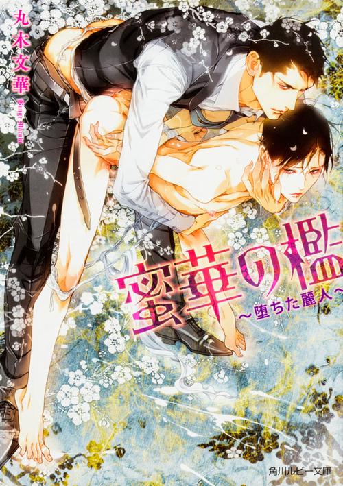 蜜華の檻 堕ちた麗人