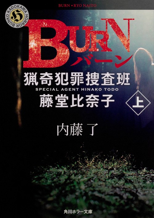 BURN　上  猟奇犯罪捜査班・藤堂比奈子