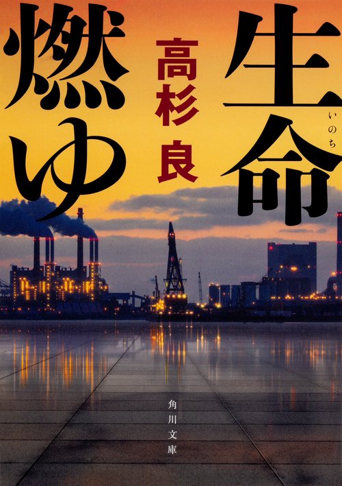 生命燃ゆ 改版