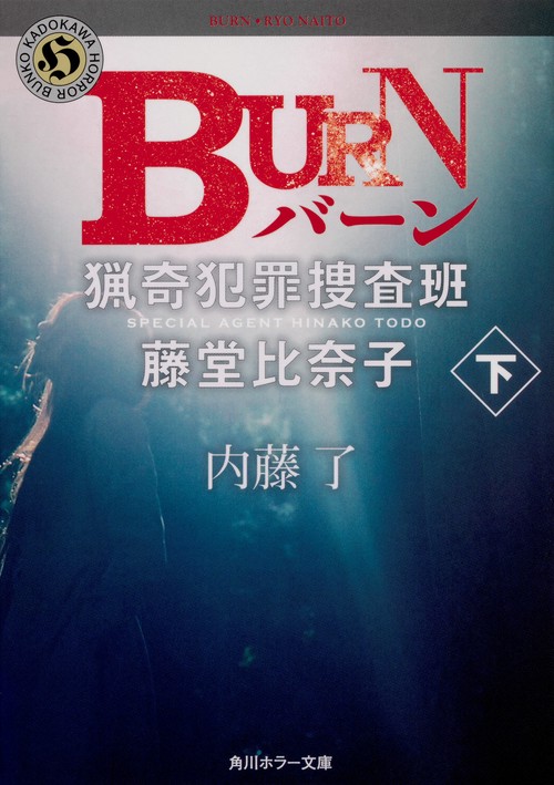 BURN　下  猟奇犯罪捜査班・藤堂比奈子