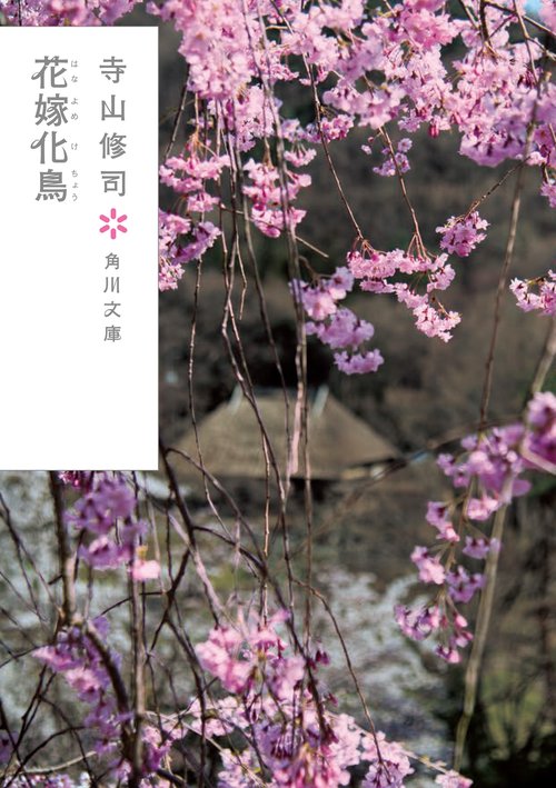 花嫁化鳥 改版