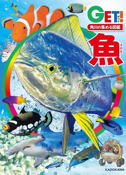 角川の集める図鑑ＧＥＴ！ 魚
