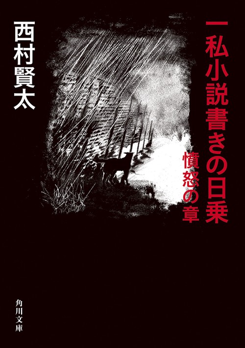 一私小説書きの日乗 憤怒の章