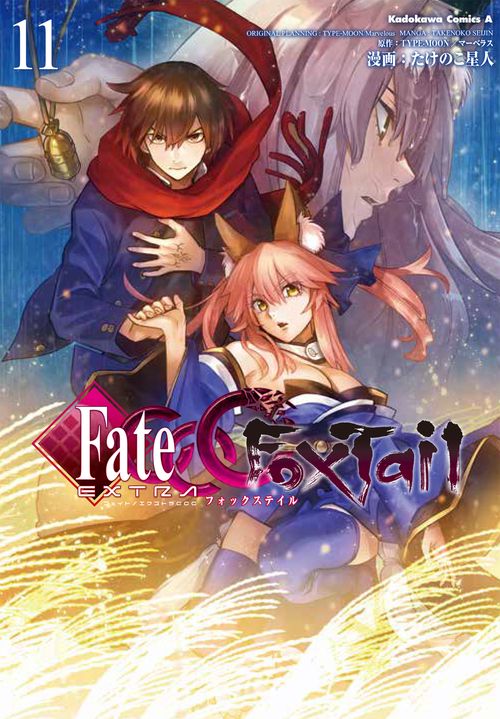 フェイト／エクストラ　ＣＣＣ　ＦｏｘＴａｉｌ　（11）