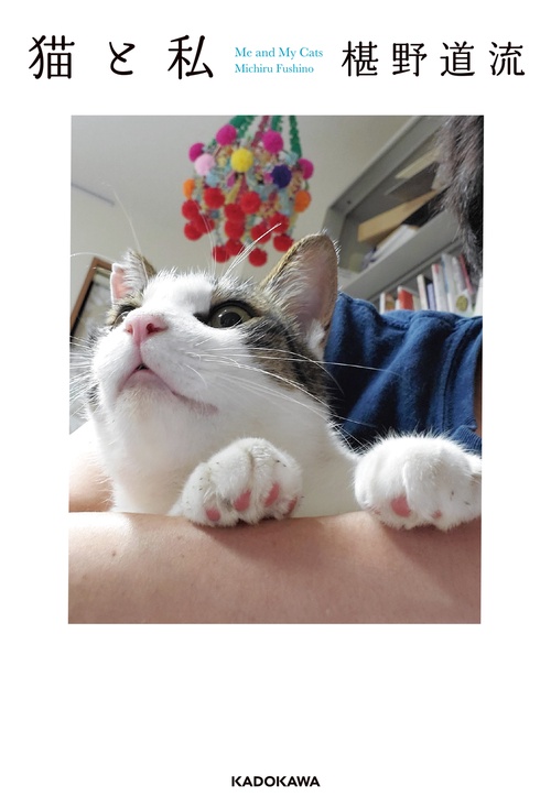 猫と私