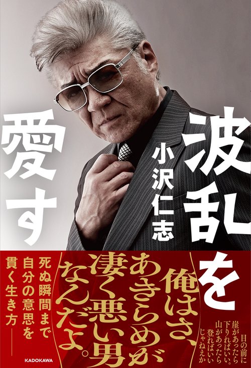 波乱を愛す
