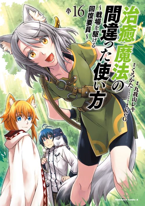 治癒魔法の間違った使い方　～戦場を駆ける回復要員～　（16）