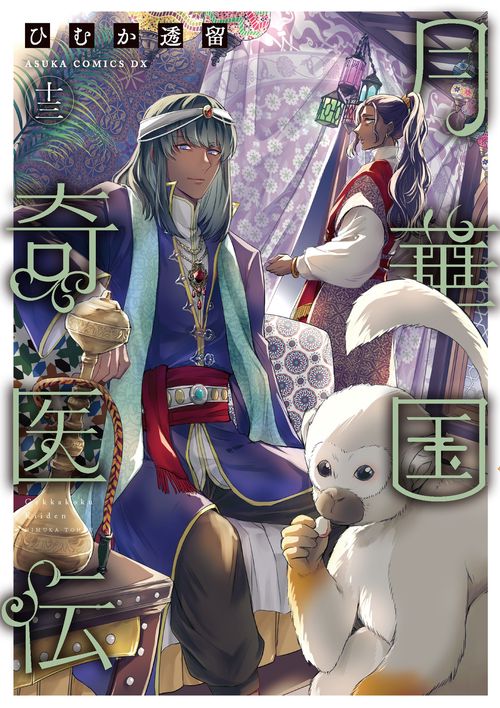 月華国奇医伝　第十三巻