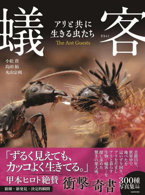 蟻客 アリと共に生きる虫たち