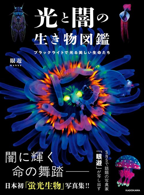 光と闇の生き物図鑑 ブラックライトで光る美しい生命たち