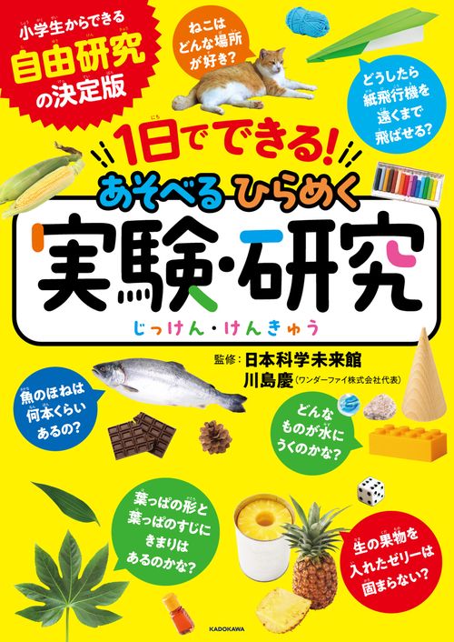 １日でできる！ あそべるひらめく実験・研究