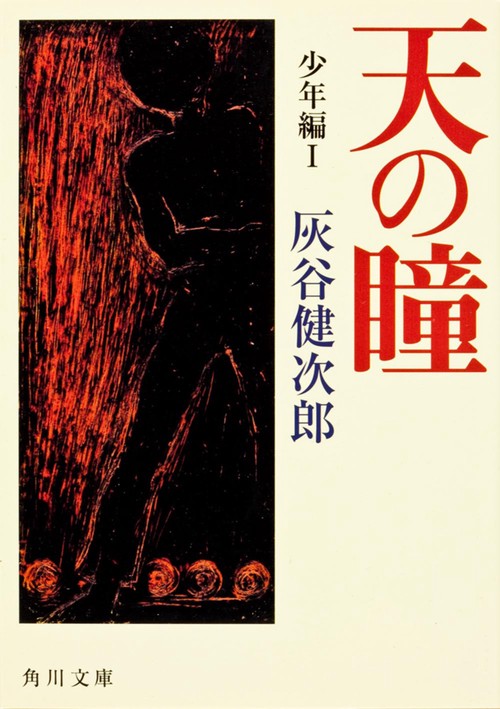 天の瞳　少年編Ｉ
