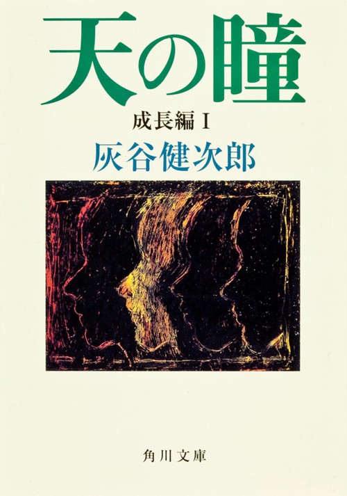 天の瞳　成長編Ｉ