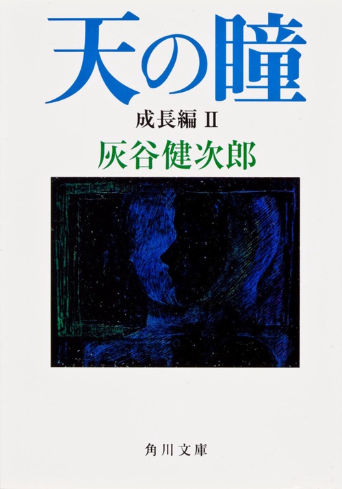 天の瞳　成長編ＩＩ