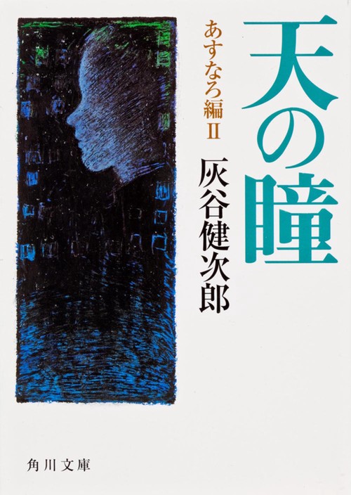 天の瞳　あすなろ編ＩＩ