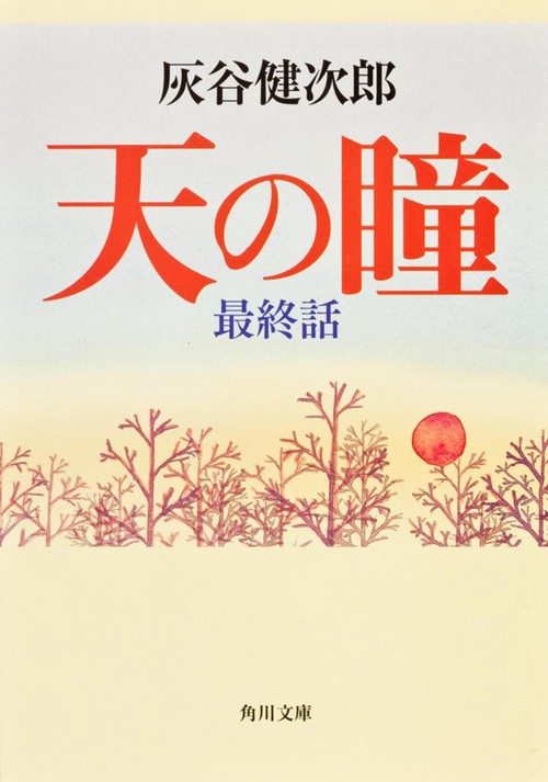 天の瞳　最終話