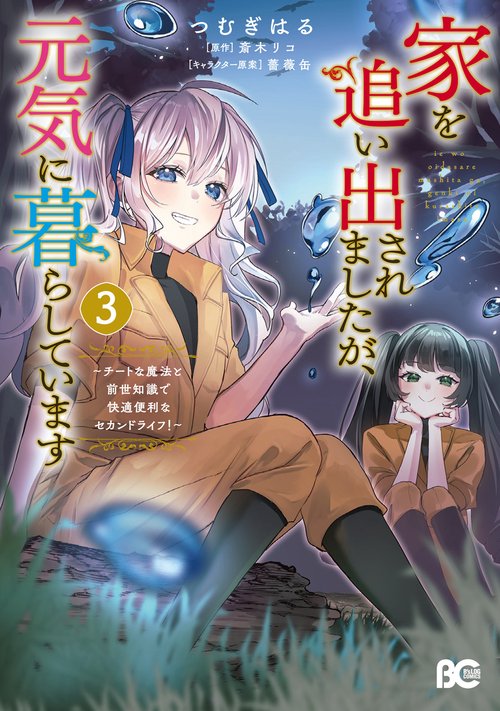 家を追い出されましたが、元気に暮らしています ～チートな魔法と前世知識で快適便利なセカンドライフ！～ 3
