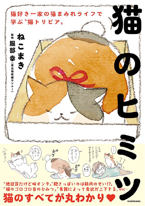 猫のヒミツ 猫好き一家の猫まみれライフで学ぶ“猫トリビア”